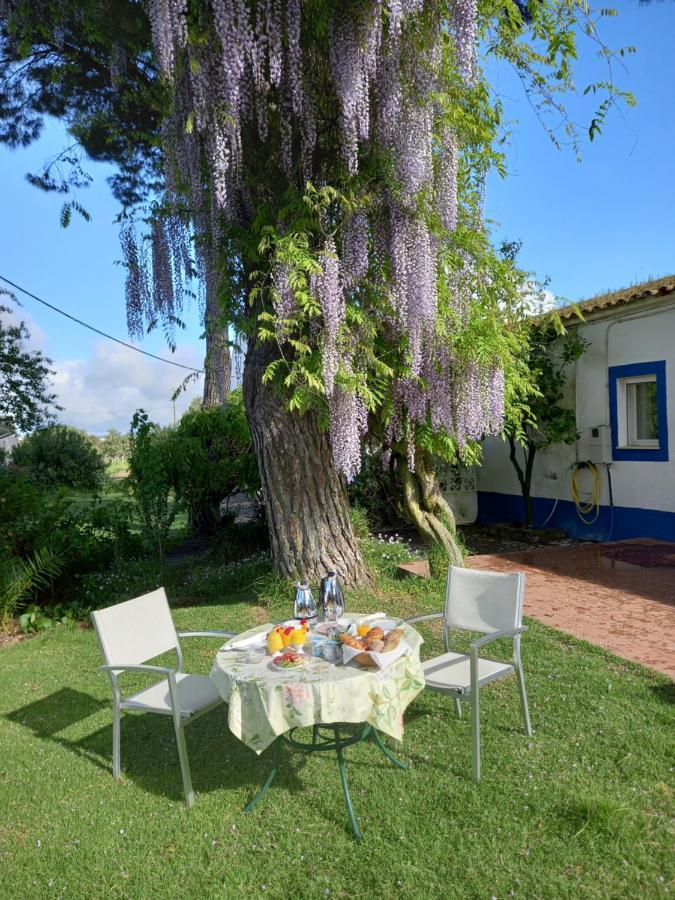 Monte Da Serralheira Agro Turismo 에보라 외부 사진