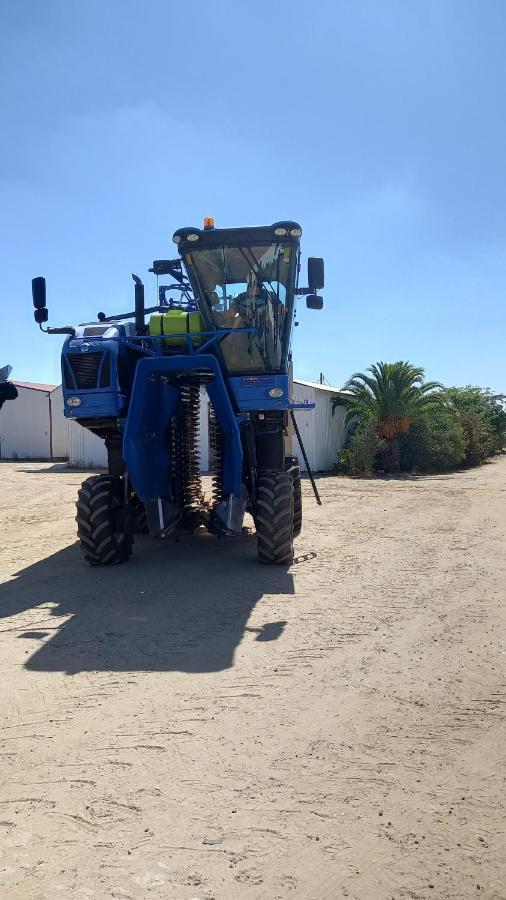 Monte Da Serralheira Agro Turismo 에보라 외부 사진