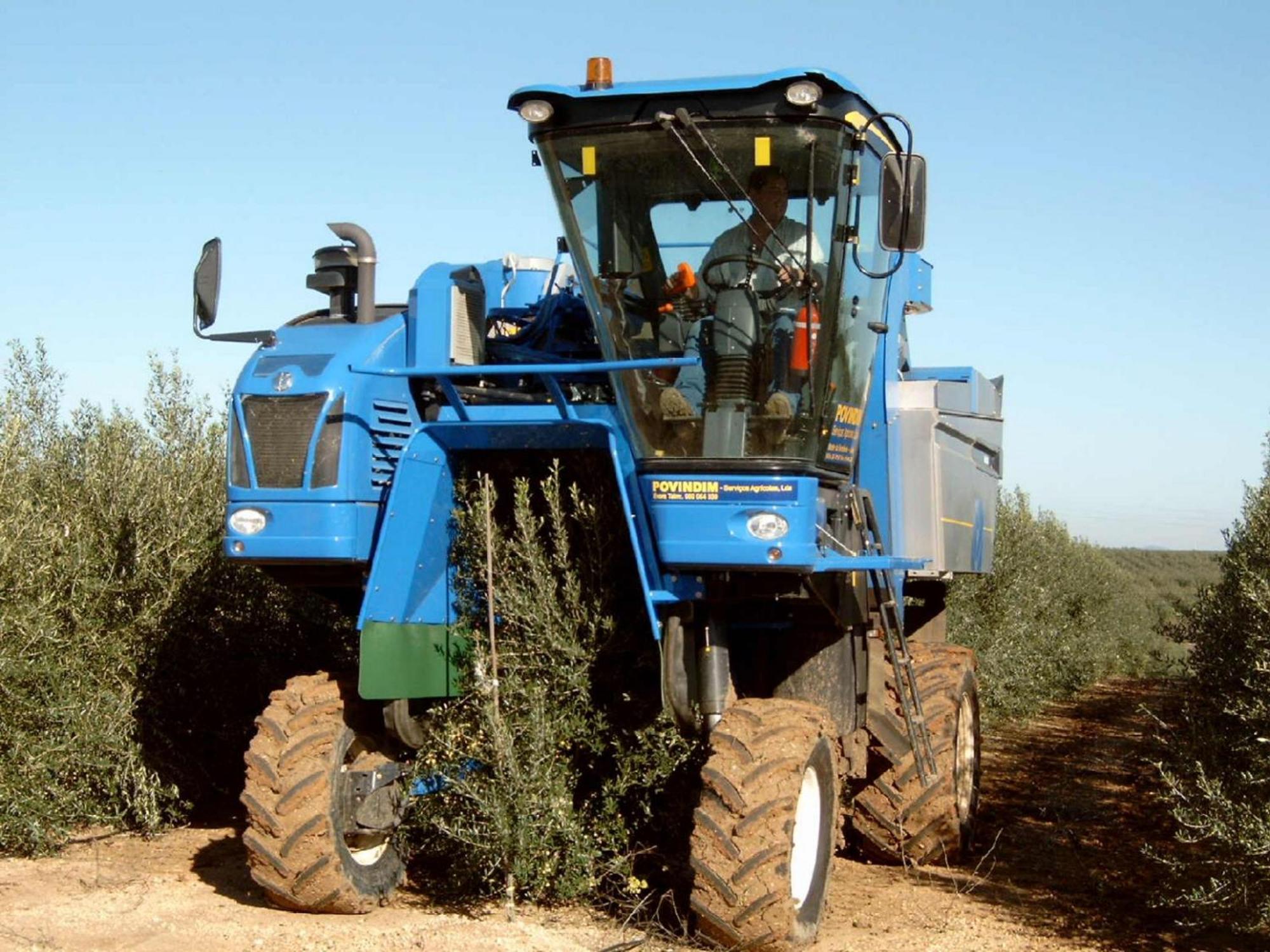 Monte Da Serralheira Agro Turismo 에보라 외부 사진